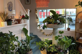 9a9ccdb2-040b-11ec-8555-1244d5f7c7c6-Gatewood_Botanicals_Interior