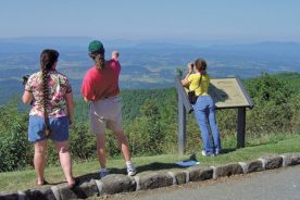 Hawk Watching Harvey Knob