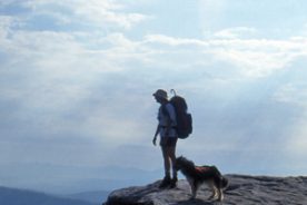 McAfee Knob in the Cold