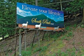 The "Goats of 220," standing in front of the current billboard behind their perch, are owned by Elizabeth McGee and her son Paul McGee.