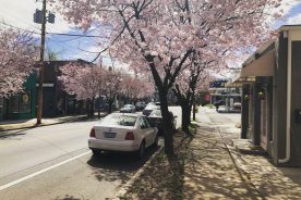 Wasena neighborhood, March 2020