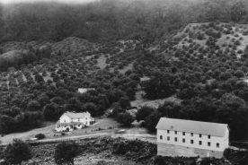 The Back Creek Orchard Company of J.D. Willett at Bent Mountain.