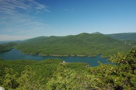 The trails found at the Carvins Cove reserve are some of the best anywhere.