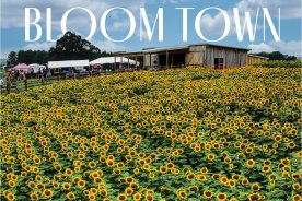 The Beaver Dam Sunflower Festival attracts about 20,000 visitors annually — a boon to the local economy.