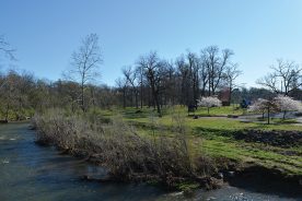 Roanoke Greenway