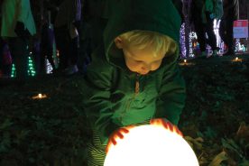 Illuminights 2019