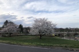 A walk outside is a great way to avoid boredom.