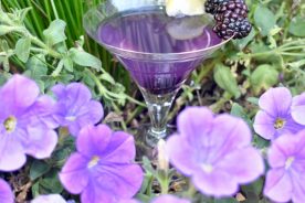 e863618c-7d5d-11e9-8747-12f1225286c6-Acai_Blueberry_Lemon_Drop