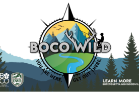 eb415a22-dc36-11ec-b285-12274efc5439-BoCo_Wild