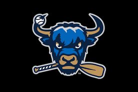 yak